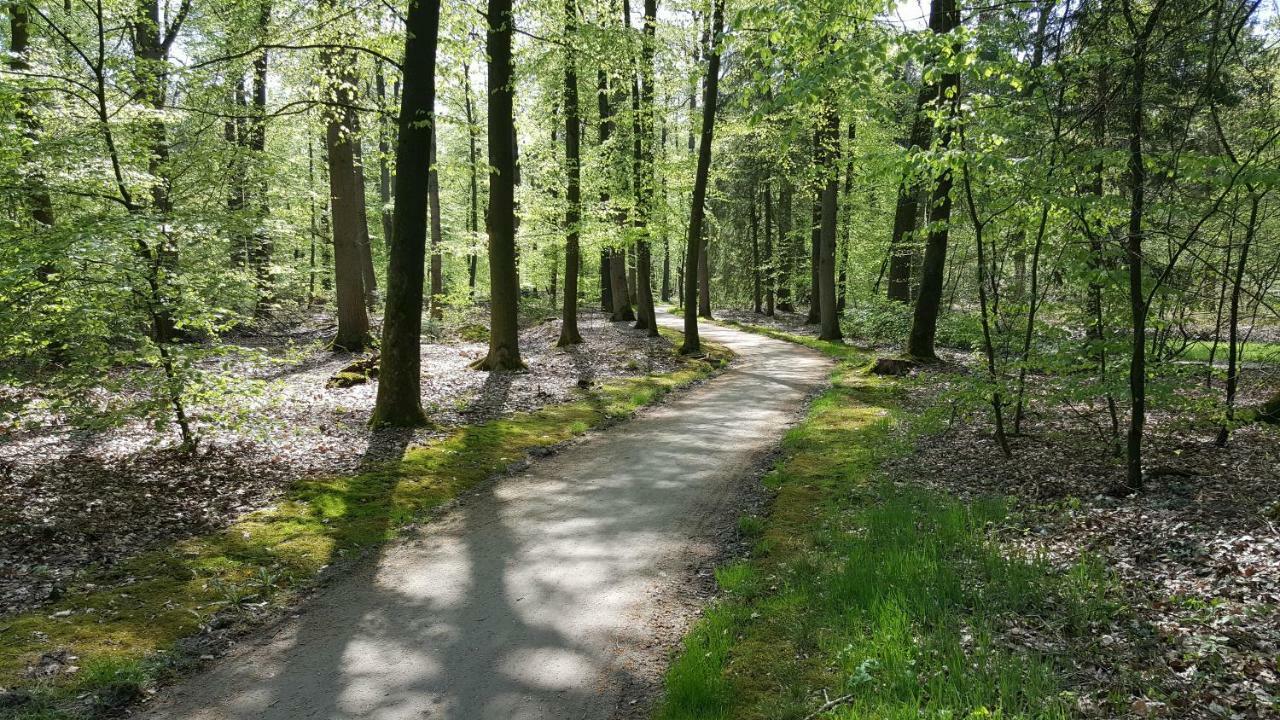 Fewo Grafschaft Nordhorn Ngoại thất bức ảnh